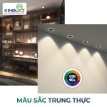 Đèn Led Âm Trần Rọi 5W Đơn Sắc - CORAL
